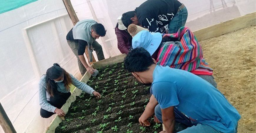 Agro Rural amplía plazo para participar en el III Concurso SEAR