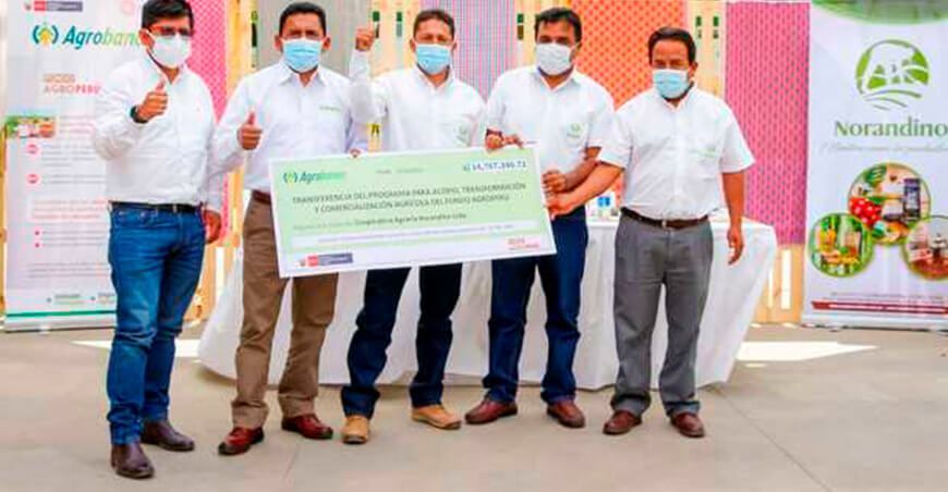 Agrobanco otorga crédito de casi S/ 15 millones a la cooperativa Norandino