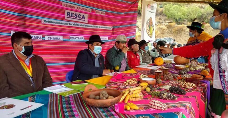 Apurímac: Minam reconoce esfuerzo de agricultores conservacionistas