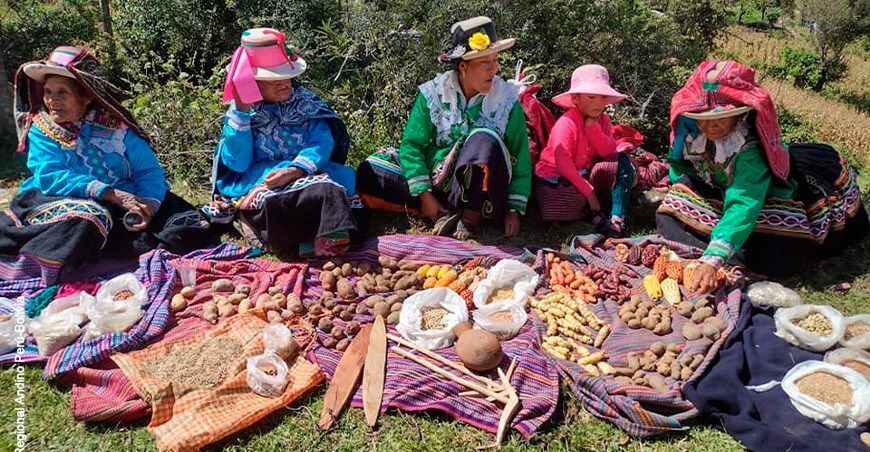 agrobiodiversidad Perú