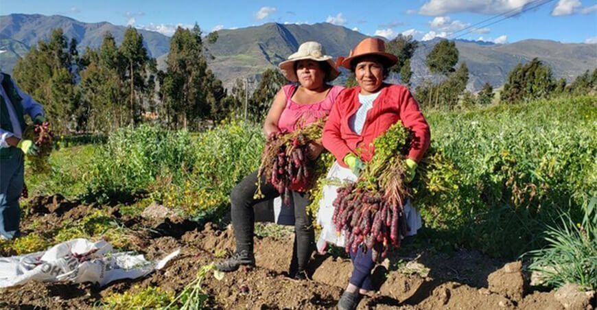 Mujeres campesinas conservación de agrobiodiversidad Perú