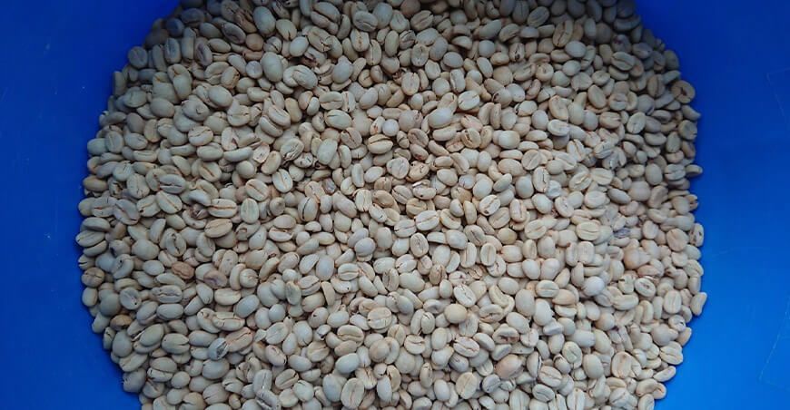 agroexportaciones café verde Perú