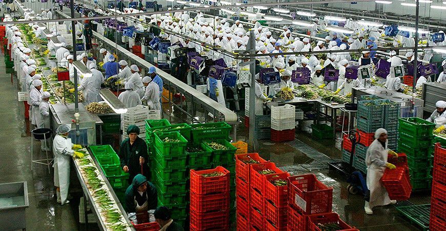 Exportación de espárragos Perú