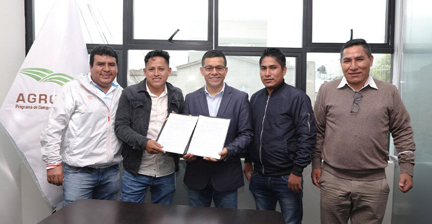 Agroideas plan de negocio kion orgánico Pichanaki