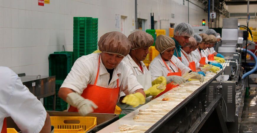 exportaciones agroindustria