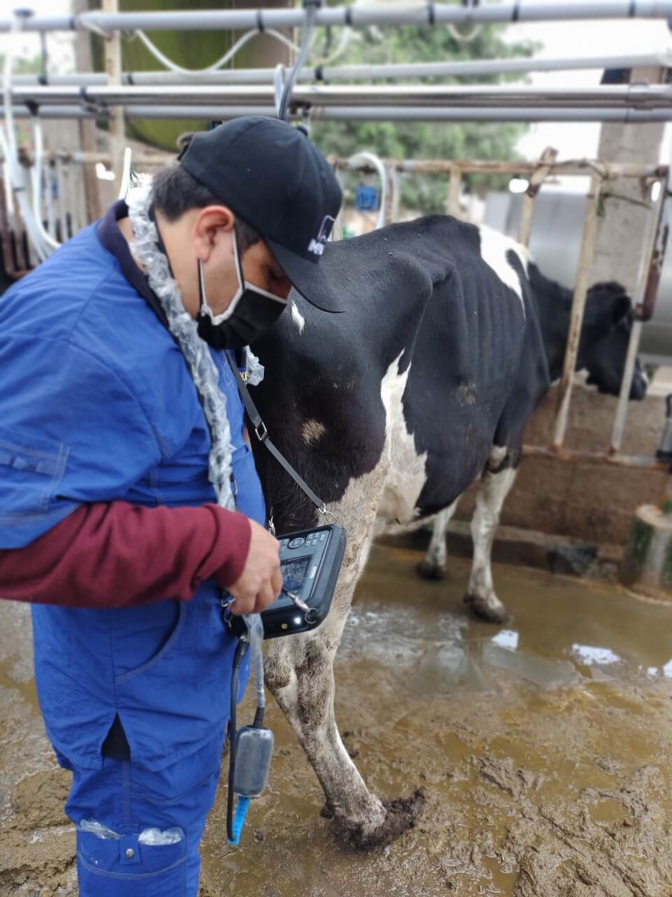 Agropecuaria Lester implementa mejoras en su proceso productivo