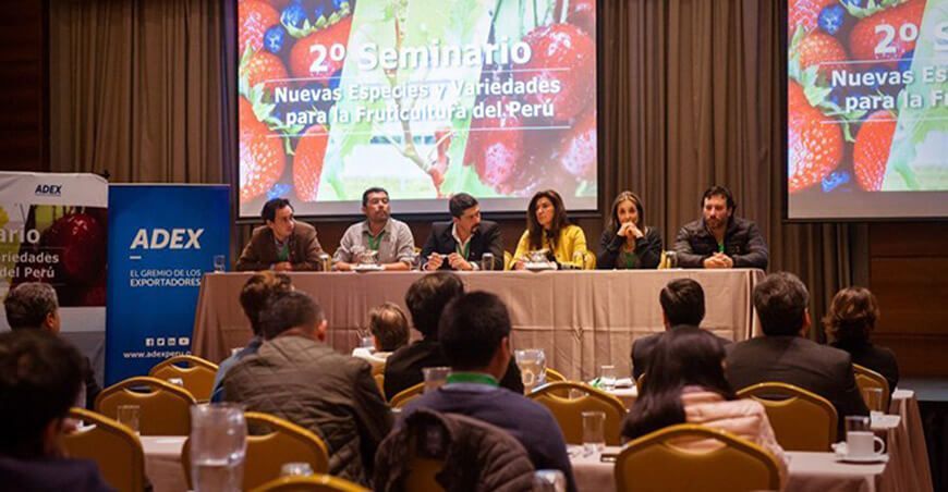 Agrotrade Perú fruticultura
