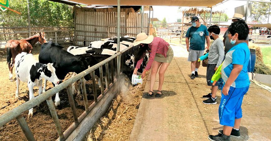El agroturismo como opción de diversificación económica