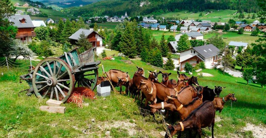 La valorización del turismo rural y agroturismo en Francia