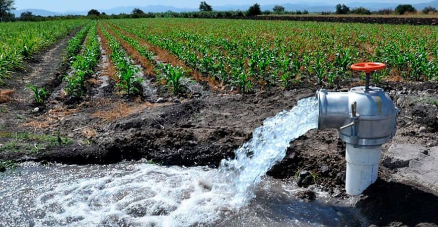 El Día Mundial de la Alimentación convierte el agua en su protagonista