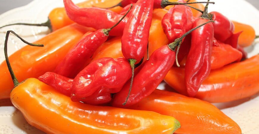 cadena de ajíes y pimientos Perú