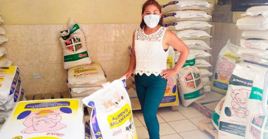 Validación de un alimento balanceado pelletizado para las etapas de pre-inicio, crecimiento y engorde de porcinos