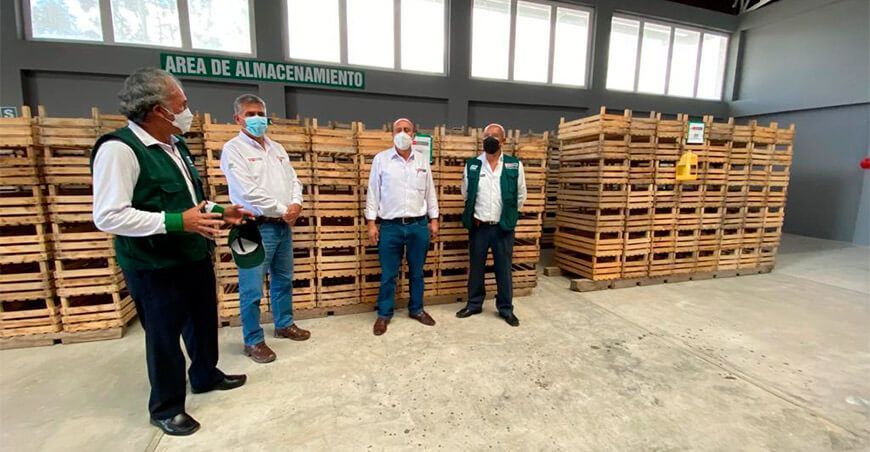 Cajamarca: ponen a disposición de los productores almacenes de semillas de papa, cereales y leguminosas