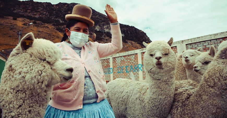 criadora de alpacas Perú