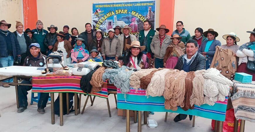 alpaqueros fibra de alpaca Perú