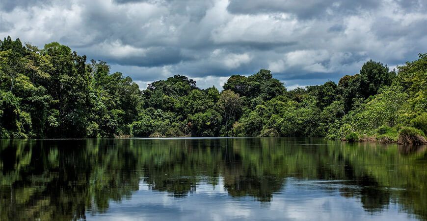 Amazonía Peruana