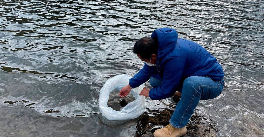 Áncash: Siembran 10 mil alevines de trucha en lagunas de Aija