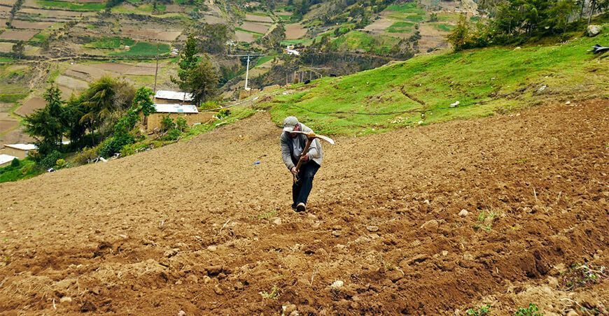 Campaña agrícola se ve afectada por falta de lluvia en Áncash
