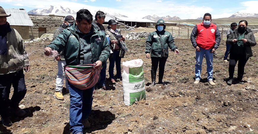 Agro Rural instalará 1,600 hectáreas de pastos en Ancash