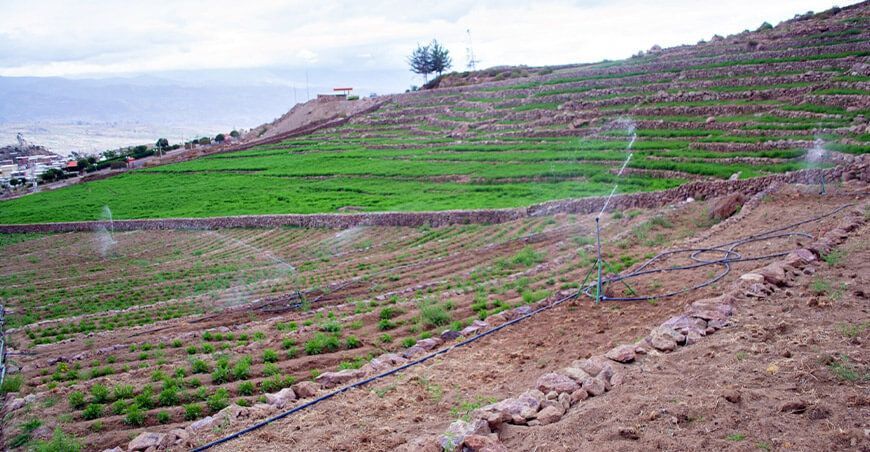 Andes Tacna Perú