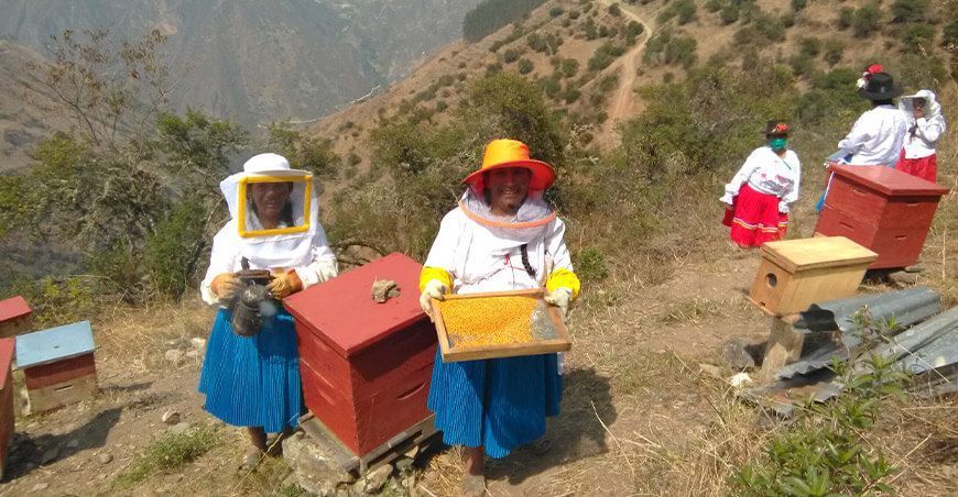 apicultoras productoras miel Perú