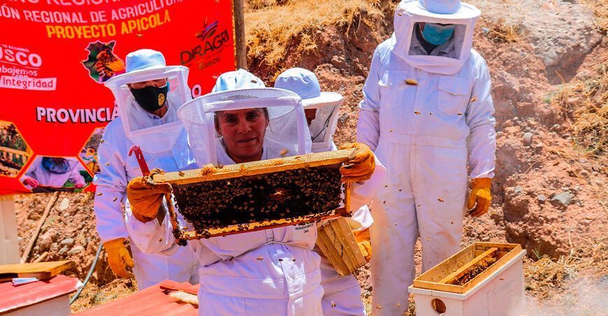 Apicultura miel abejas Perú