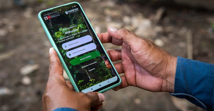 MiBosque, aplicativo que garantizará la legalidad en la cadena productiva de la madera y castaña