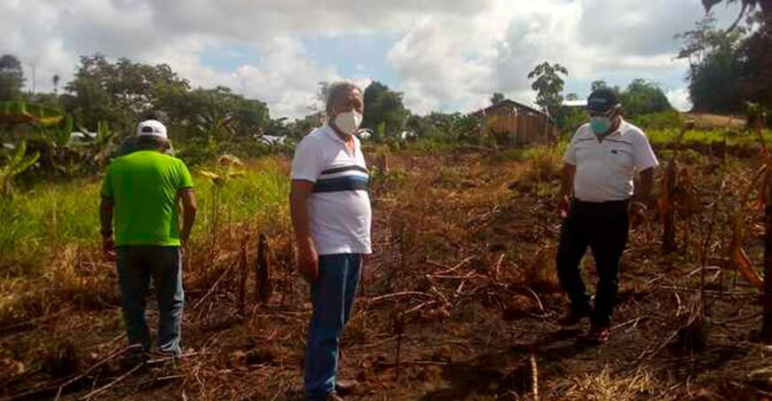 Habilitarían 2 hectáreas de terreno para construir un centro de acopio de achiote
