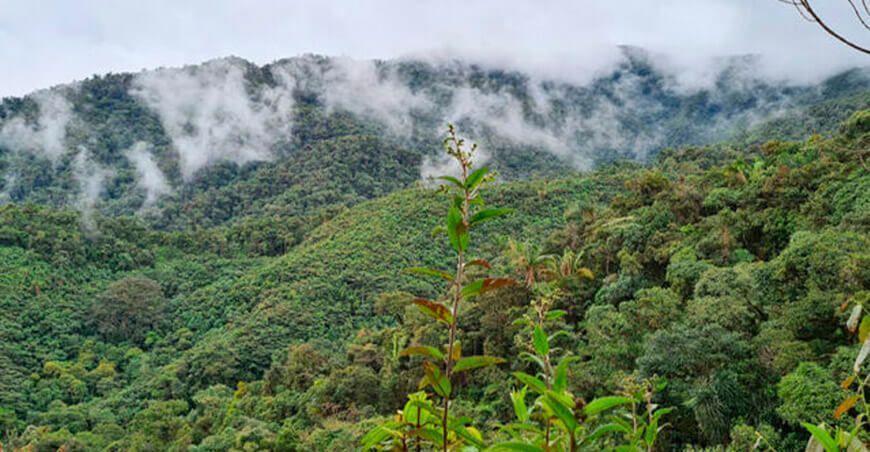 Área de Conservación Privada Checca