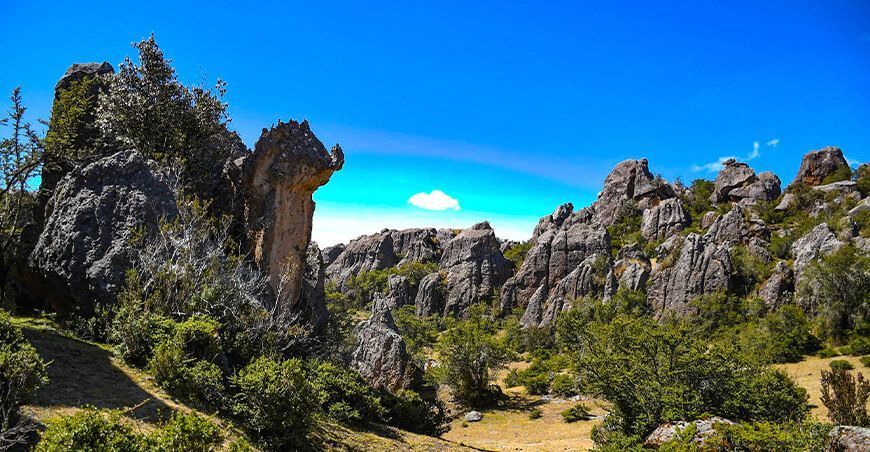 Ayacucho: Reconocen Área de Conservación Privada “Totorabamba” en Vinchos