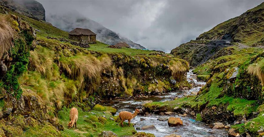 Área de Conservación Regional Q’eros-Kosñipata