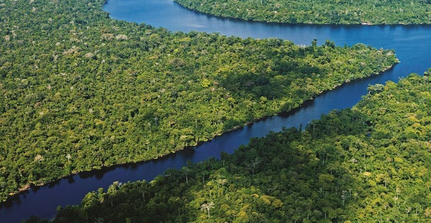 Bosques de la Amazonía peruana