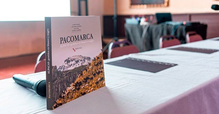 Presentan en Arequipa un libro histórico sobre la genética de las alpacas