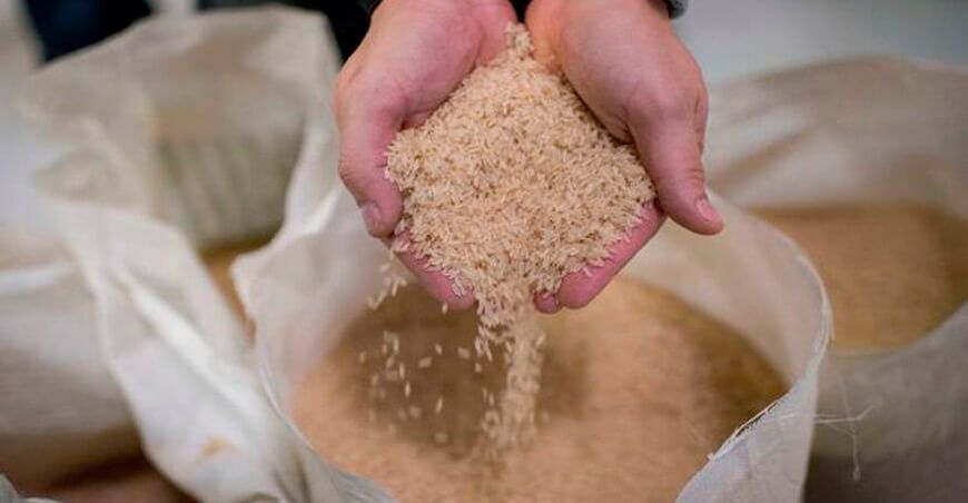 arroz semiblanqueado