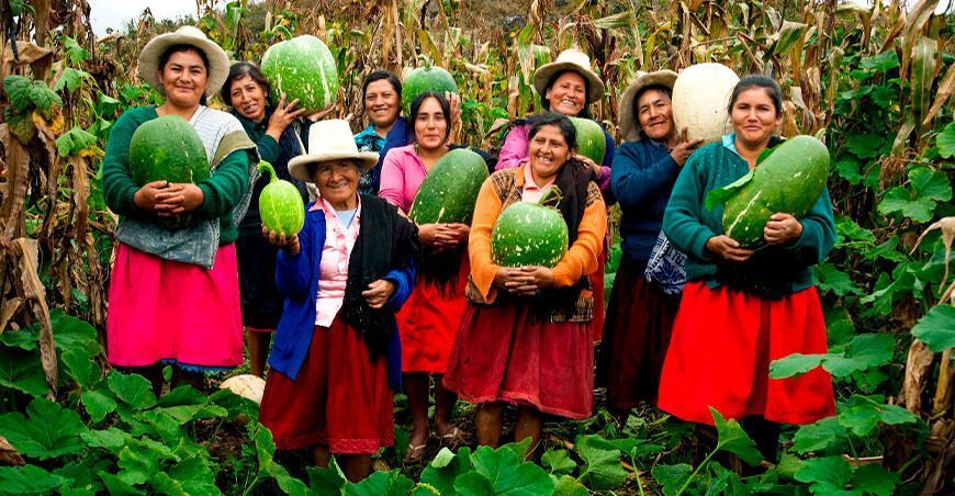 Nace la Asociación de Mujeres Solidarias del Perú