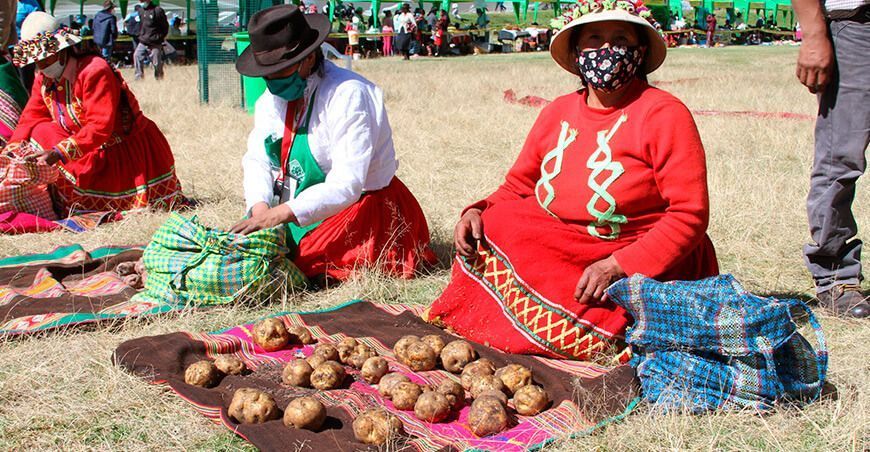 Nace la Asociación de Mujeres Solidarias del Perú