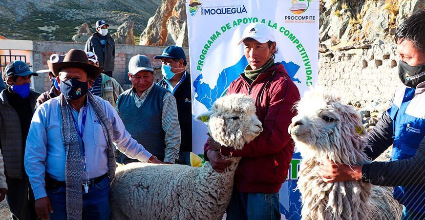 Los productores recibieron herramientas de esquila, kits veterinarios, alpacas y llamas