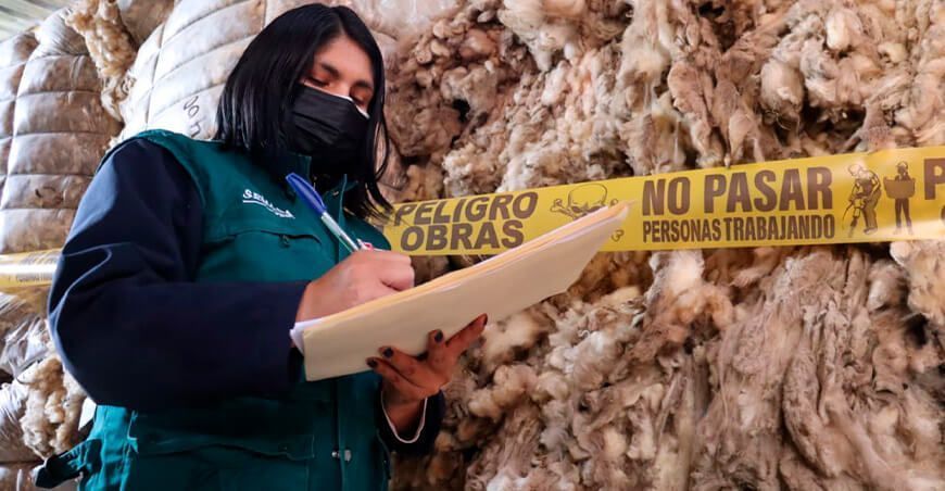 producción de lana de oveja Ancash
