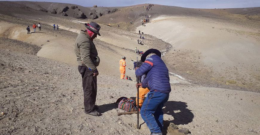 Instalan cerco cuarentenario para tratar vicuñas con sarna en Ayacucho