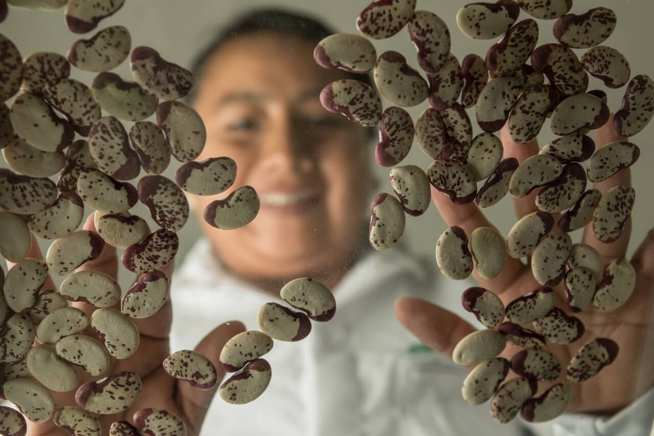 Colombia inauguró el banco de semillas más grande del mundo