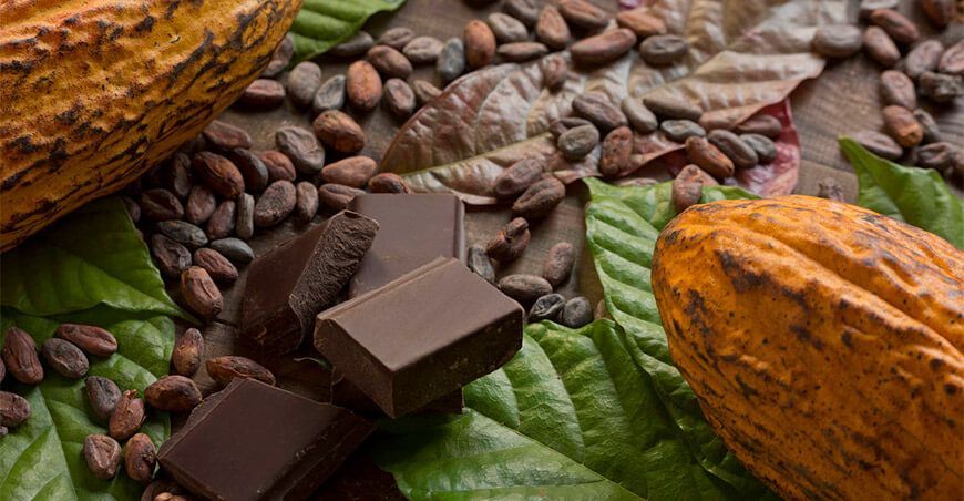Beneficios de consumir cacao