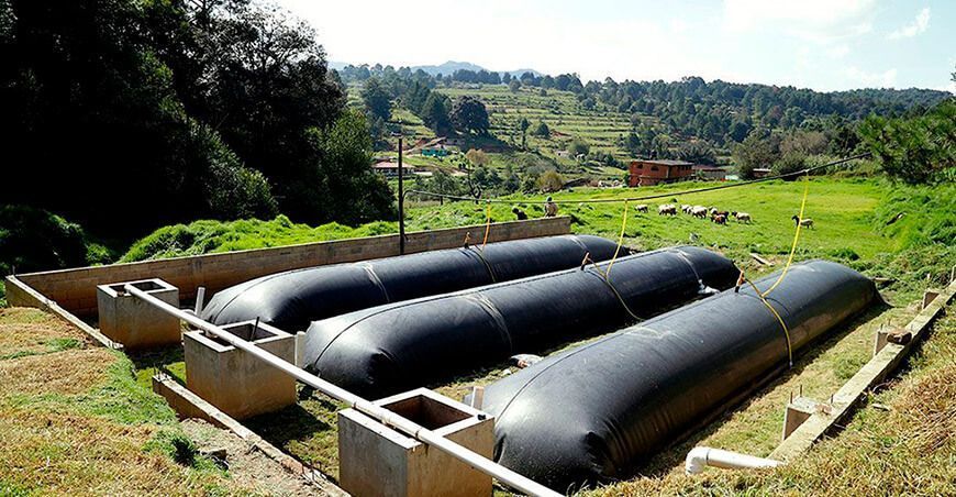 Impulsan créditos verdes para compra de biodigestores ganaderos del Perú