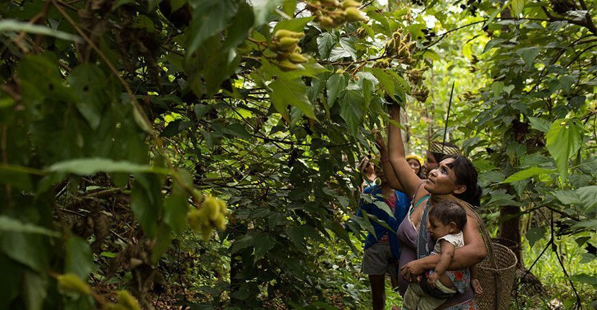 biodiversidad Áreas Naturales Protegidas comunidades nativas e indígenas Perú