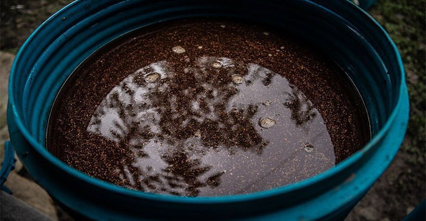 biofertilizantes o abono orgánico Perú