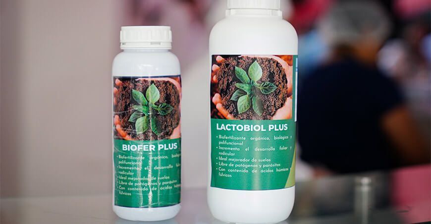 Crean biofertilizante orgánico a partir de harina de pescado