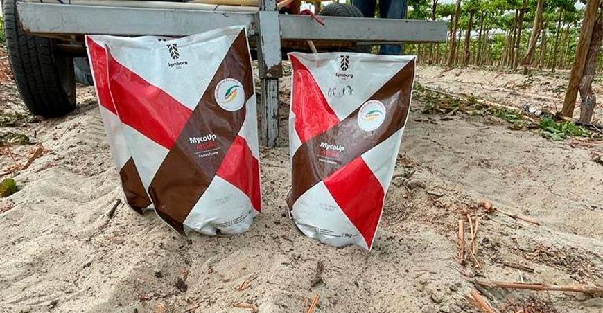 Biofertilizantes