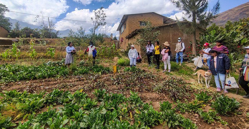 Instalan biohuerto comunal en Huánuco