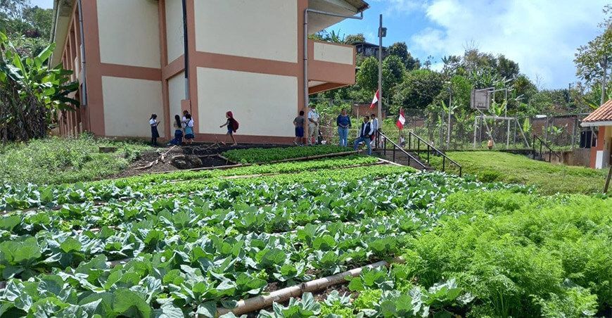 Biohuertos escolares Qali Warma