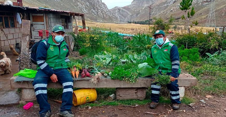 primera cosecha de hortalizas ecológicas en Yauli