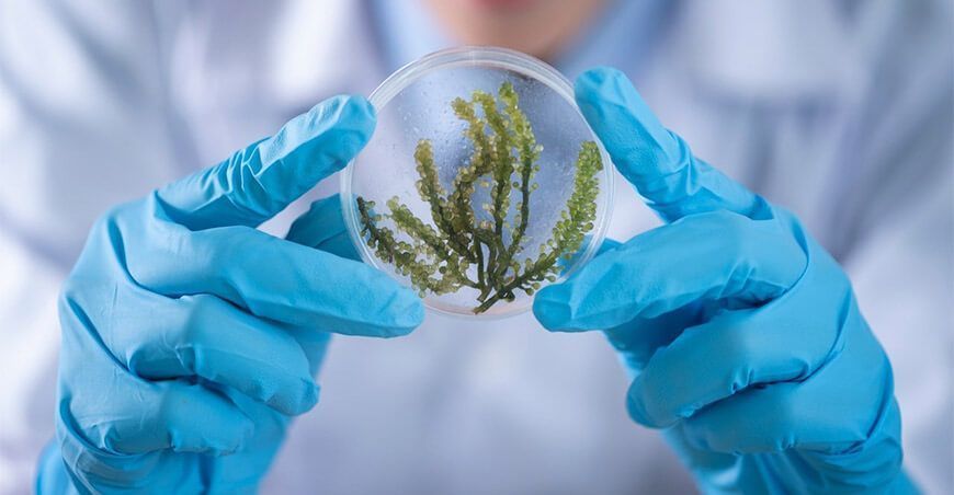 UNALM es sede del primer simposio peruano de biología sintética